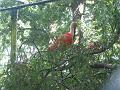 Zoo Cottbus 094